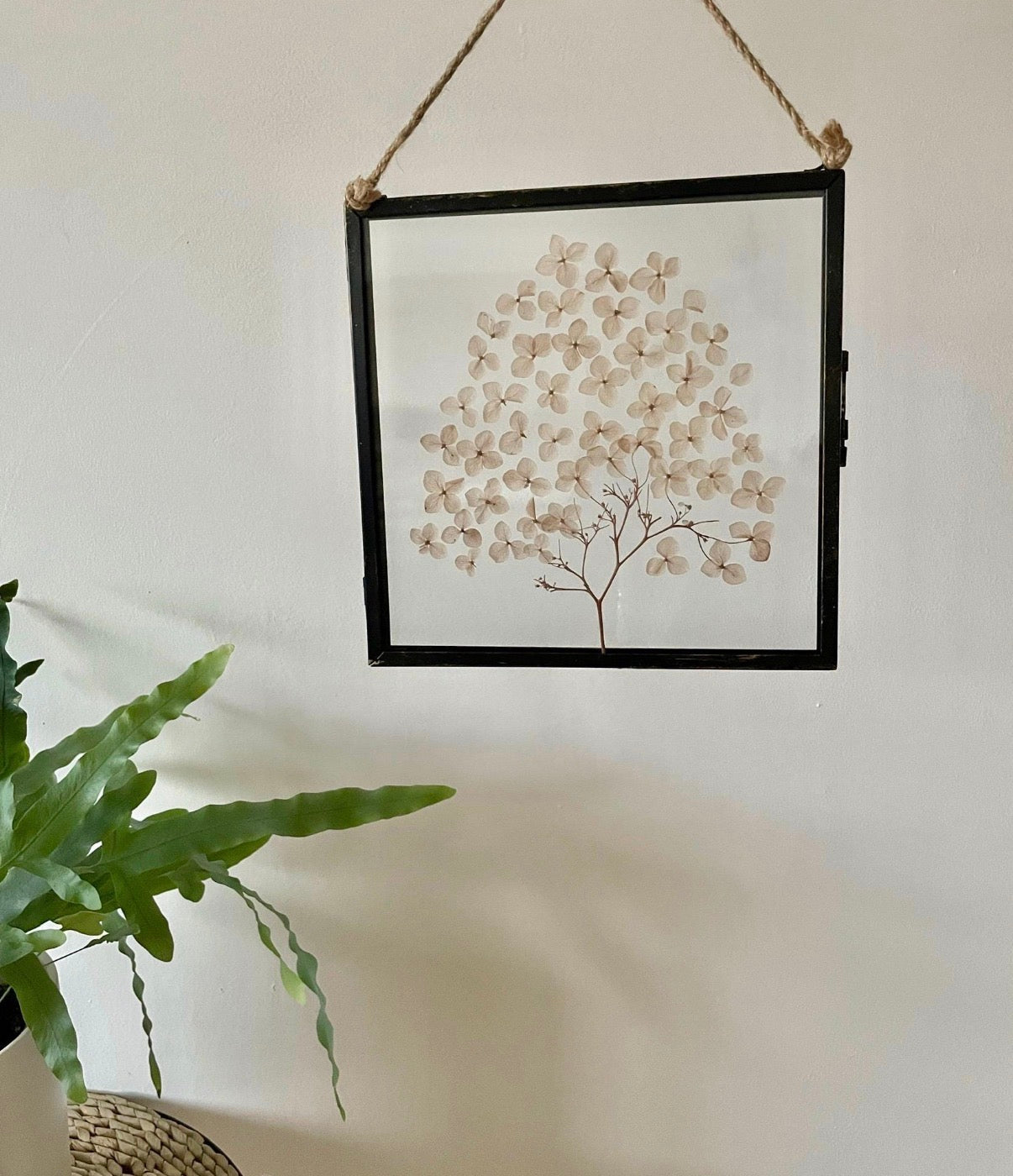 Dried Flower Wall Art Frame, Hydrangea Nude