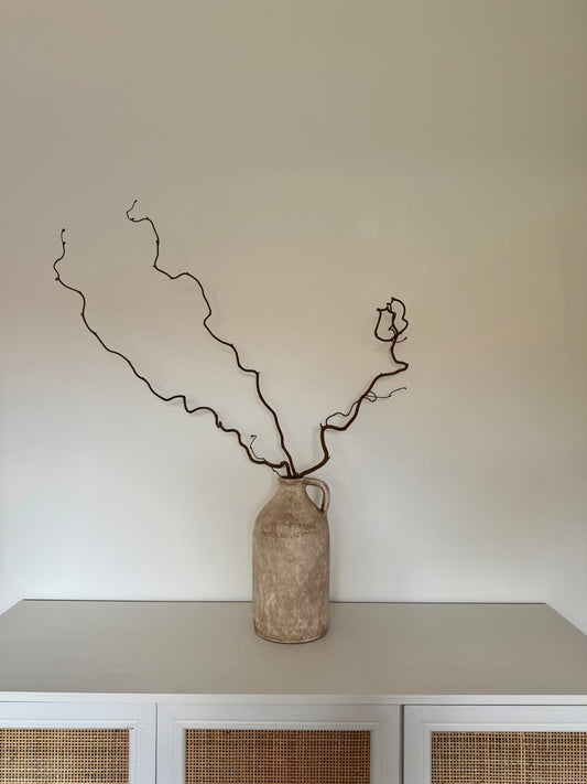 Large Dried Twisted Hazel (Corylus avellana contorta)