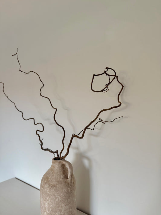 Large Dried Twisted Hazel (Corylus avellana contorta)