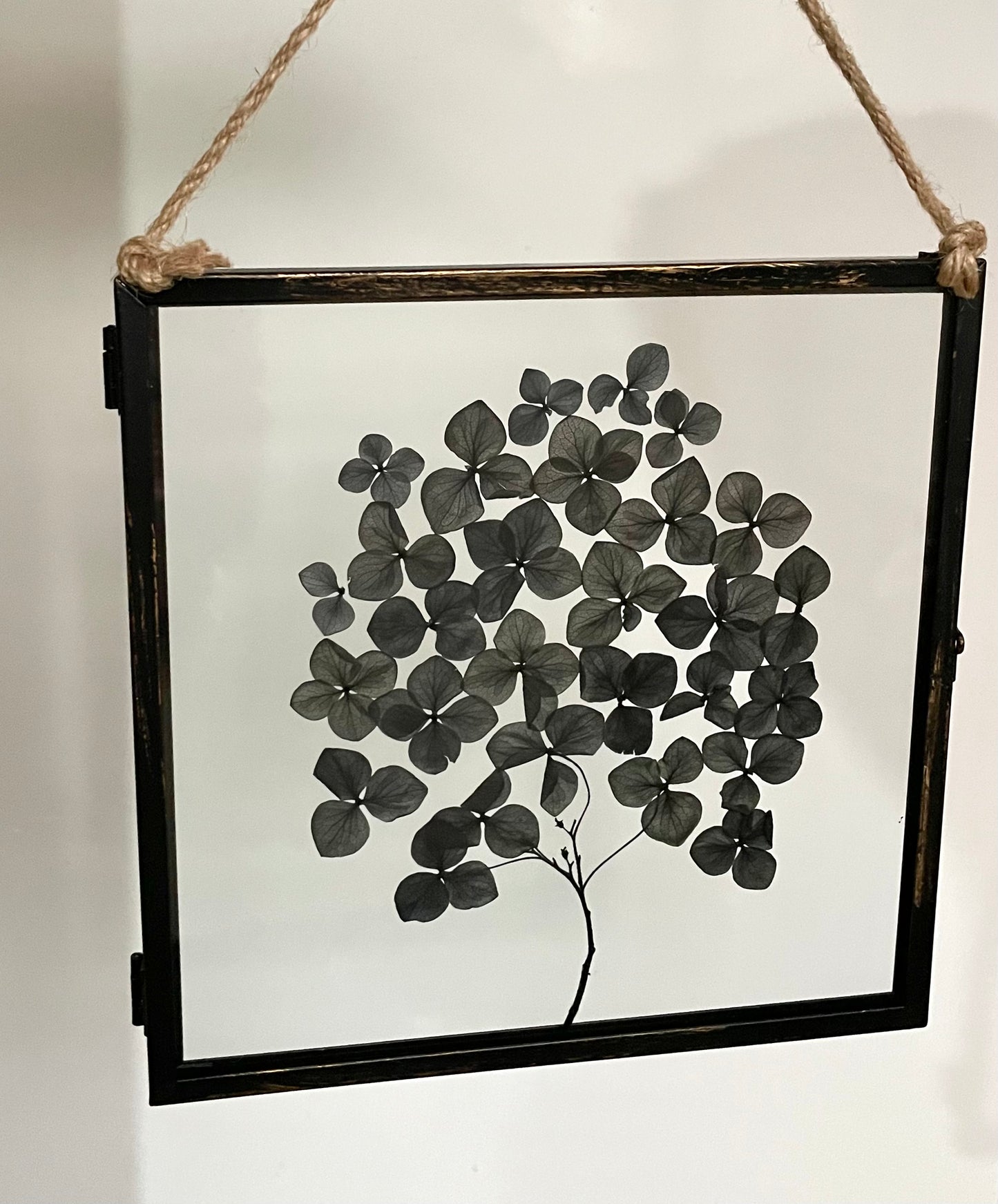 Dried Flower Wall Art Frame, Hydrangea Black