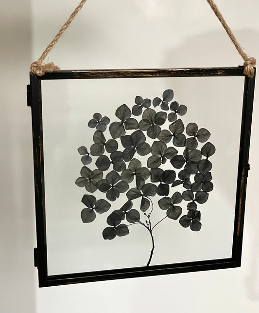 Dried Flower Wall Art Frame, Hydrangea Black