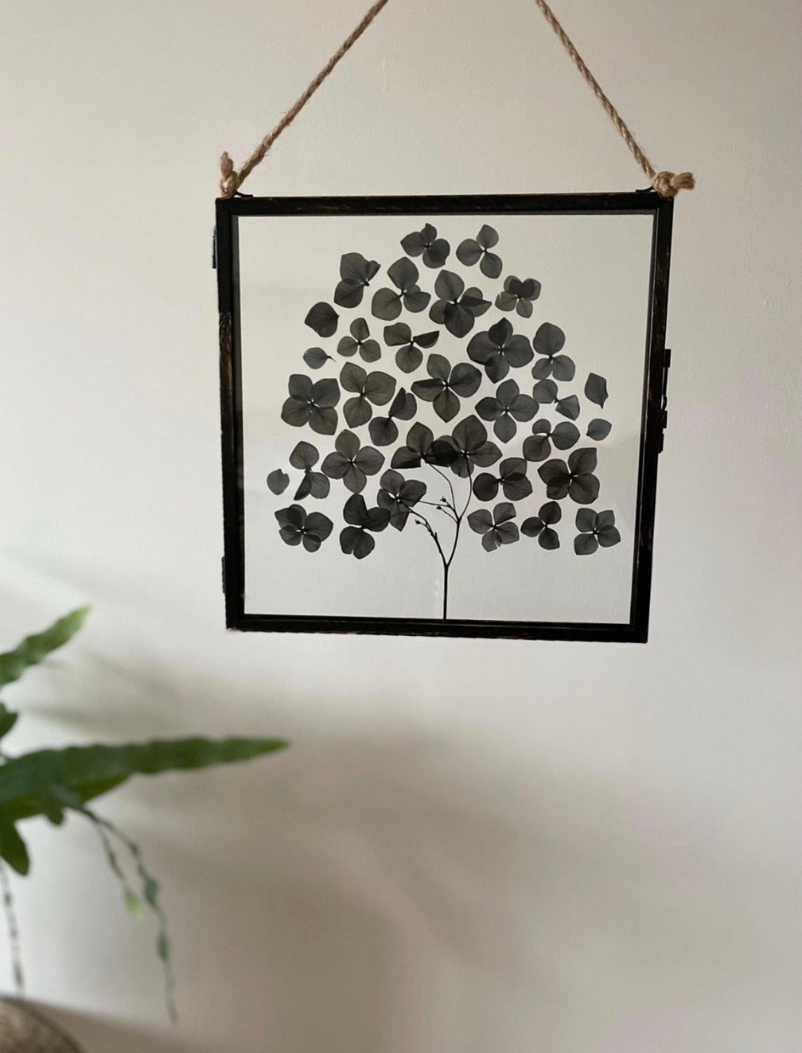 Dried Flower Wall Art Frame, Hydrangea Black